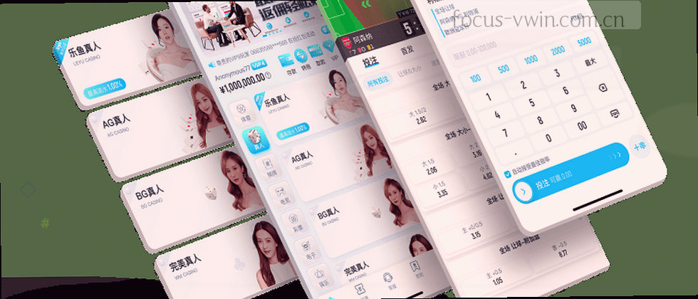 本站隐私政策与你的数据权益